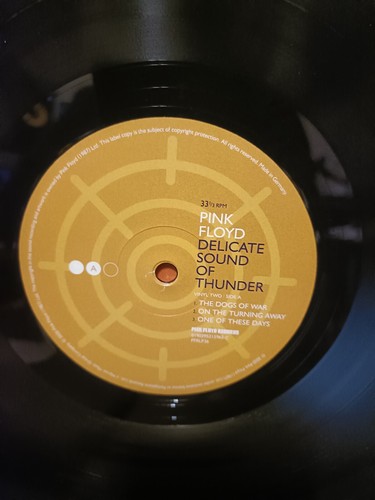 Pink Floyd - Delicate Sound Of Thunder 3 LP 180Gr. Europe 2020 - Bild 24 von 24