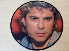 David Van Day/Young Americans Talking/1983 Wea 7" Single Picture Disc/Dollar