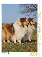 Calvendo Puzzle Female Collies | 1000 Pieces, Finished Size 25.2 × 18.9 In (64 ×