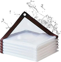 Wasserdichte Mit ÖSen 2X3M,Transparente Plane Regenschutz Wetterfeste,Wetterfest