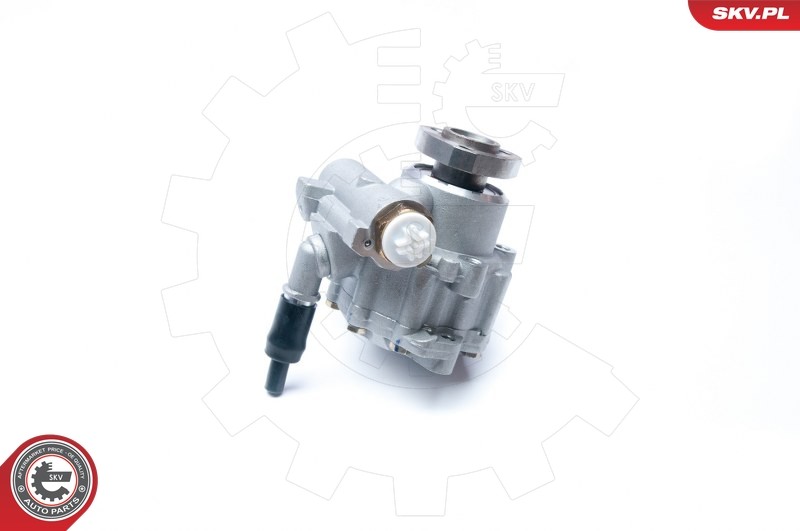 2x ✅Fits SKV GERMANY 10SKV230 POWER STEERING PUMP  ⭐UK Seller⭐