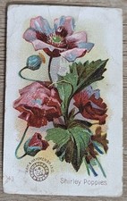 1895 AH800 Church & Co Arm & Hammer Beautiful Flowers Shirley Poppies Card #43