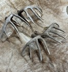 Lot of 2 Whitetail Deer sheds SETS Antlers Taxidermy Mount Decor Craft 3216&3217 — photo 7