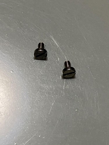 Audemars Piguet Royal Oak Bezel Screws Set Of 2