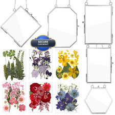 Bucherry 5 Pcs Glass Frame For Diy Pressed Flowers Art Hanging Photo Picture