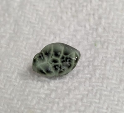 ISLE ROYALE Greenstone Chlorastrolite .6 ct Gemstone OLD STOCK
