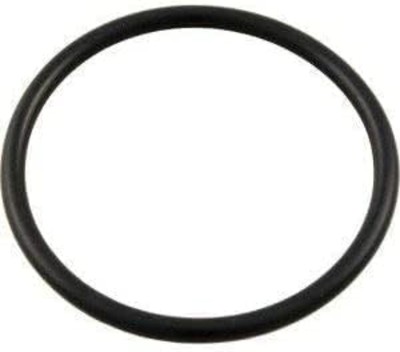Pentair Lid O-Ring (After 99) 350013Z