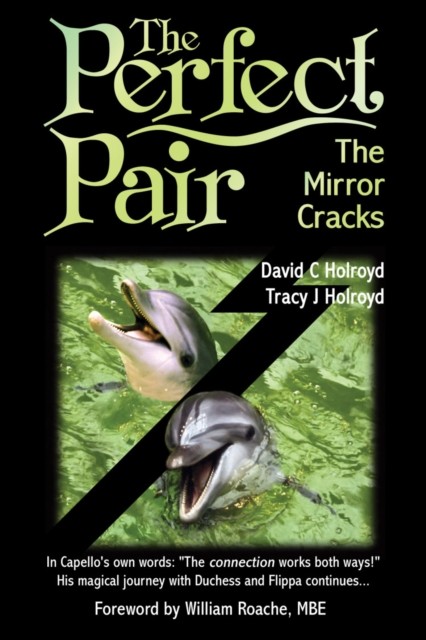 The Perfect Pair The Mirror Cracks by David C Holroyd PAPERBACK 9781783062775