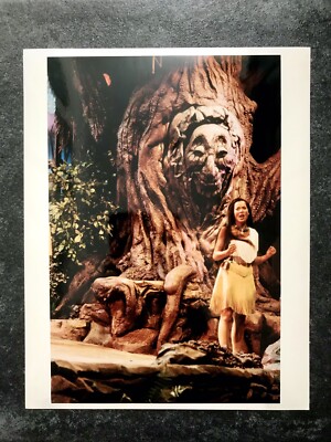 POCAHONTAS Rare Original Vintage 1995 Stage Show Photo WALT DISNEY MGM STUDIOS