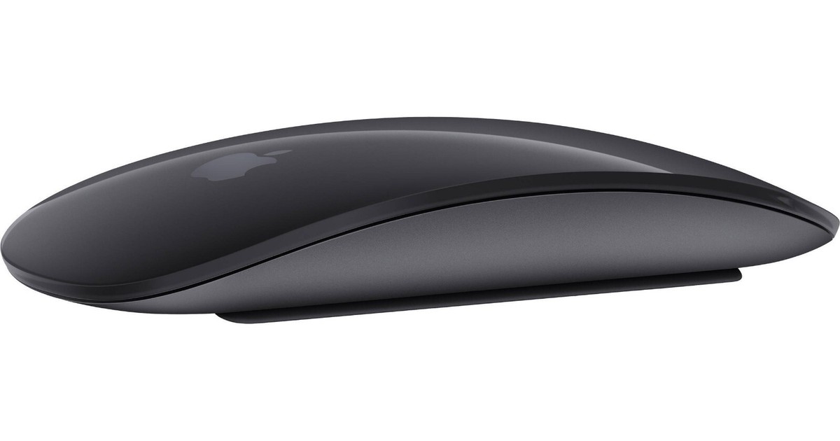 ペ*ロ様 Apple Magic Mouse 2 Space Gray 本体 Apple Magic Mouse 2 Wireless Rechargable Mouse - Space Gray
