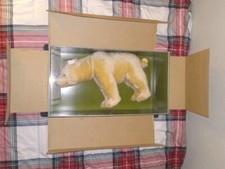 1931 Steiff 130/28 Mechanized Neck Polar Bear Mohair NEW IN BOX MINT 394/3000