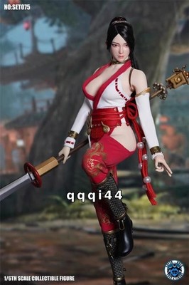 Ninja Gaiden Momiji 1/6 Head Carving Figure Costume Accessory Set Gift (No Body)
