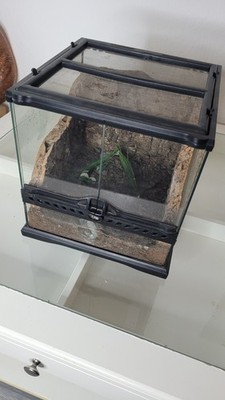 Exo Terra Nano Glas Terrarium 30 x 30 x 30