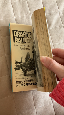 Dragon Ball Comic Vol.1 Akira Toriyama 1st Edition 1985 Manga