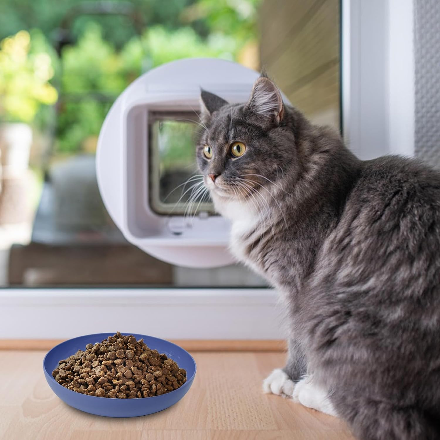 [8 Pack] Cat Dishes Whisker Friendly, Shallow Wide Pet Food and Water Bowl, Dura