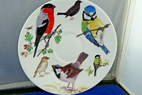 GARDEN BIRDS BREAKFAST CUP SAUCER, ROY KIRKHAM. fine bone china. Made in England - Picture 9 of 10