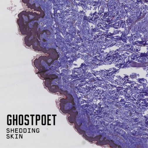 Ghostpoet Shedding Skin (CD) Album Digipak