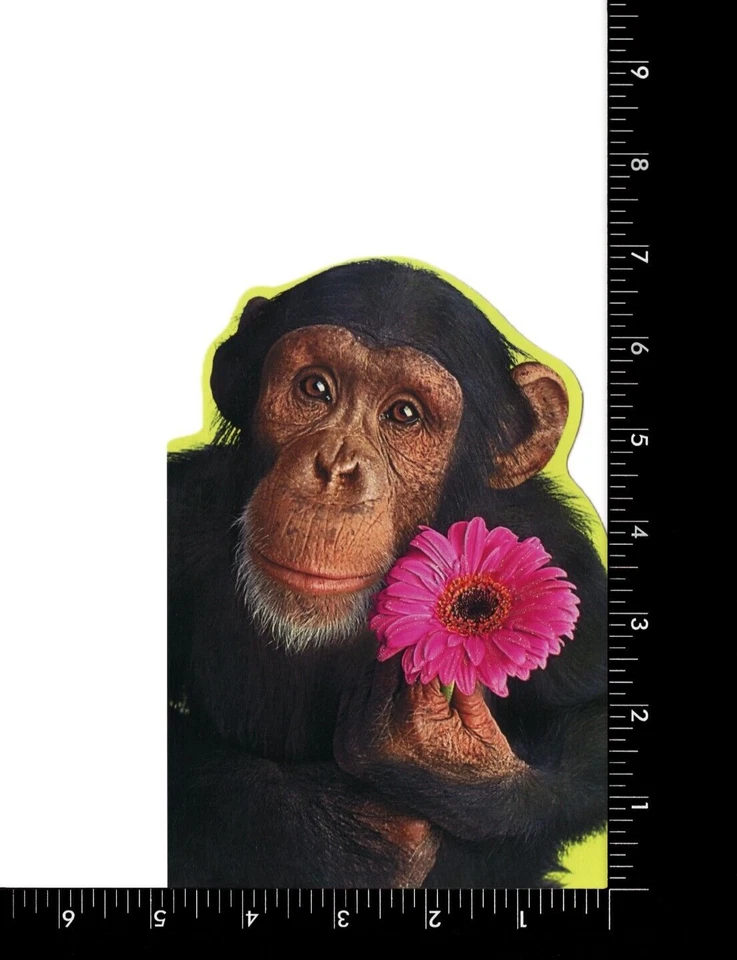 Funny GET WELL Card, Great Big Hug Chimpanzee Monkey Pink Flower by Hallmark +✉ - Image 3 of 4