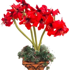 Red FLORAL ARRANGEMENT LARGE 30" CENTERPIECE, QUALITY Silk FLOWERS