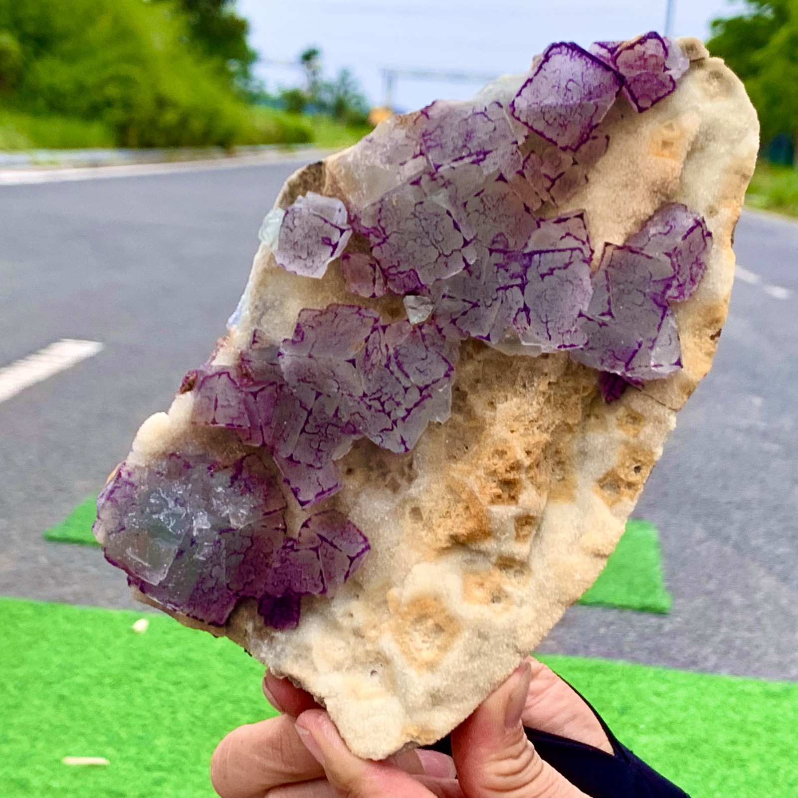2.92LB Natural Transparent Purple-Edged Fluorite Crystal Specimen from China