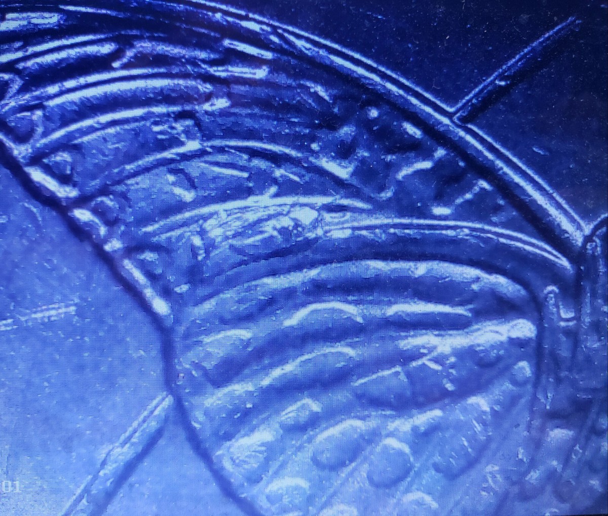 2020 P Tallgrass Prairie Quarter Error - Wing Die Chip | eBay