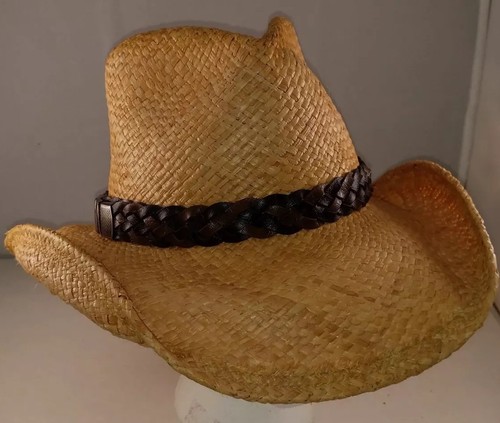 Shady Brady Western Hat | eBay