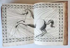 1680 COMPLEAT HORSEMAN antique ILLUSTRATED Le parfait mareschal by J. SOLLEYSEL