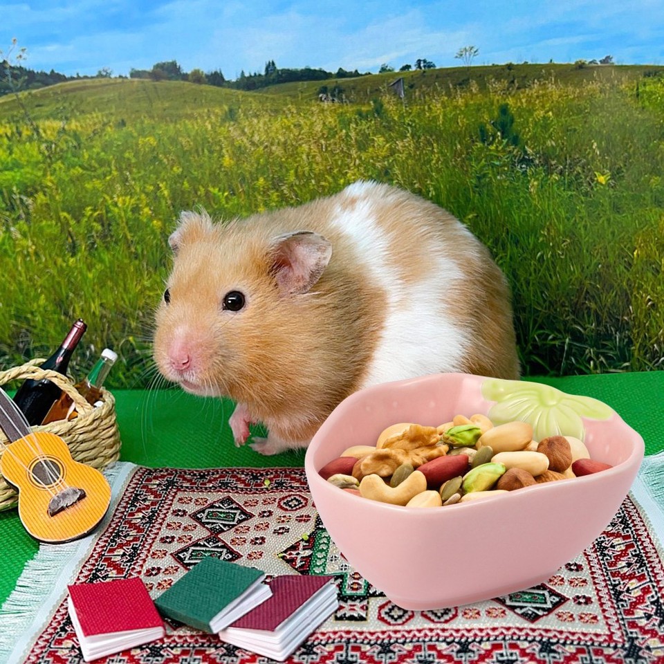 Cartoon Ceramic Small Pet Food Bowl Hamster Water Dish Strawberry Shape ...