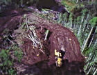 Picture 5 of 19