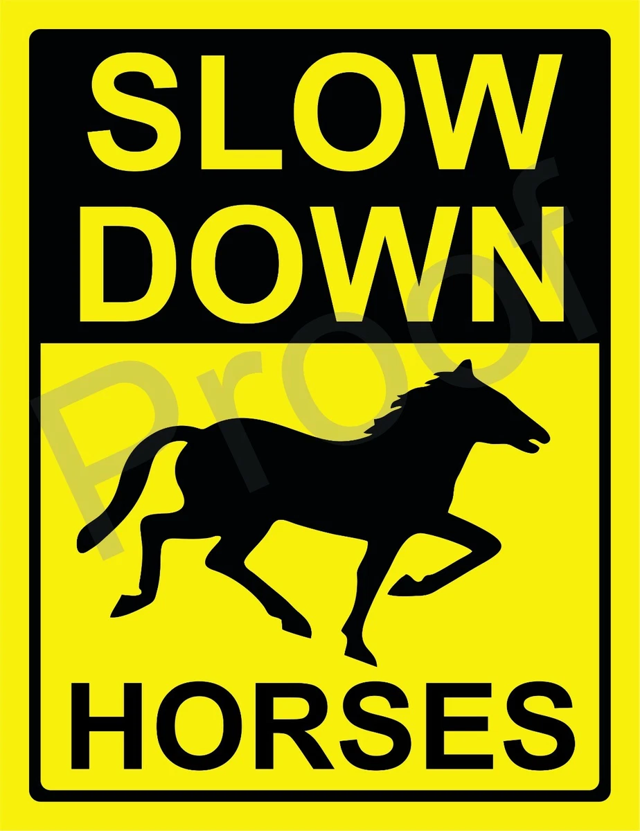 Slow Down & Respect Wildlife Tin Sign – Cool Campground Warning Sign For Wall Decor - View #3