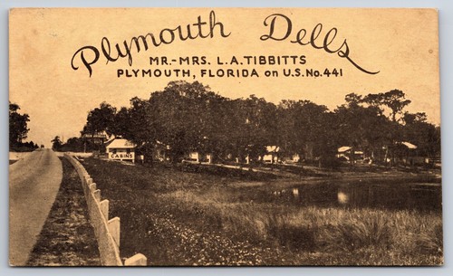 Plymouth Dells Tourist Cabins Plymouth Florida FL Blank Back c1940