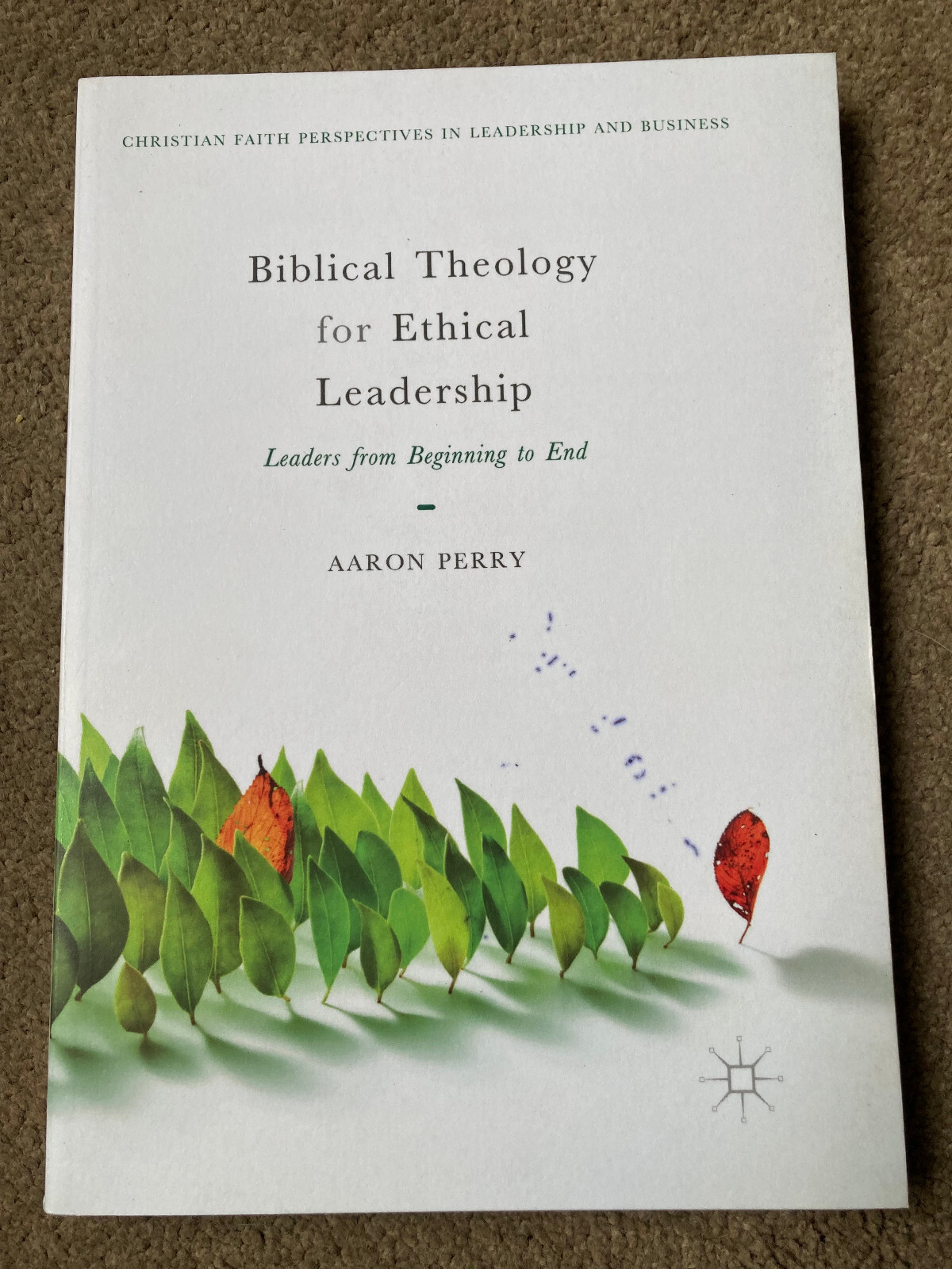 Biblical Theology for Ethical Leadership by Aaron Perry