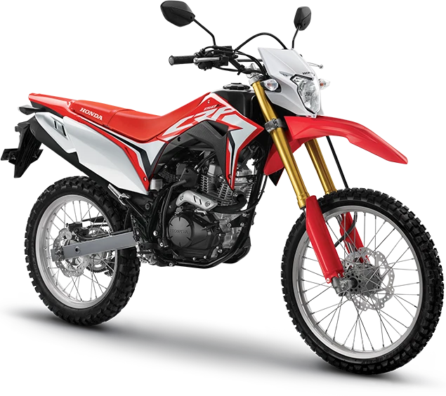 HONDA CRF 150L 2019 2022Template Vector Contorno Del Cuerpo