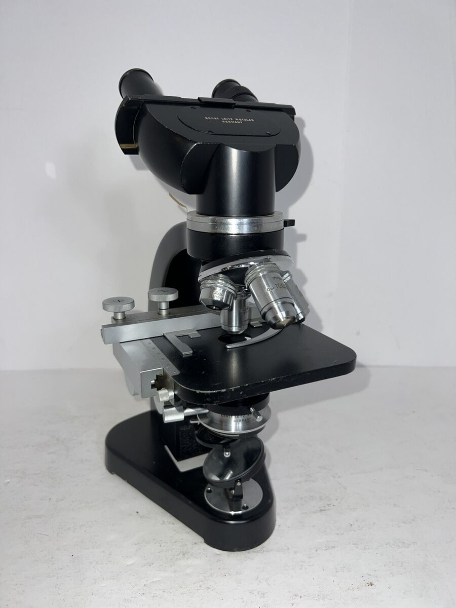 Vintage Ernst Leitz Wetzlar Germany Binocular Microscope Vintage Ernst Leitz Wetzlar Germany Binocular Microscope