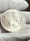 UNC - 1923 P - Peace Silver Dollar