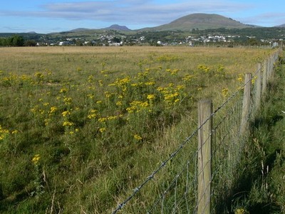 Photo A3 Field near the Dyffren Seaside Estate Llanddwywe Looking toward c2011