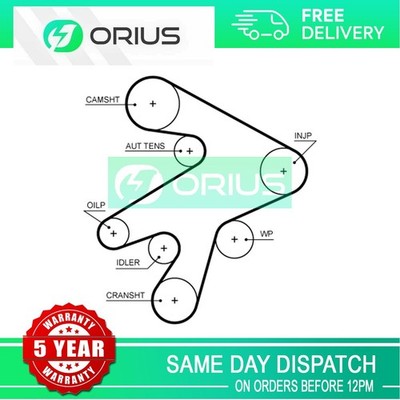 Timing Cam Belt Orius Fits GREAT WALL Steed 2012- 2.0 D TD TDi 2.1 1021013-ED01