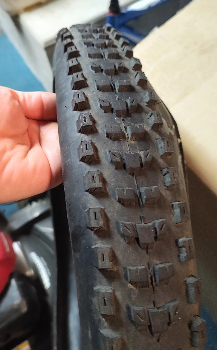 Maxxis dissector store 29 2.4 dual