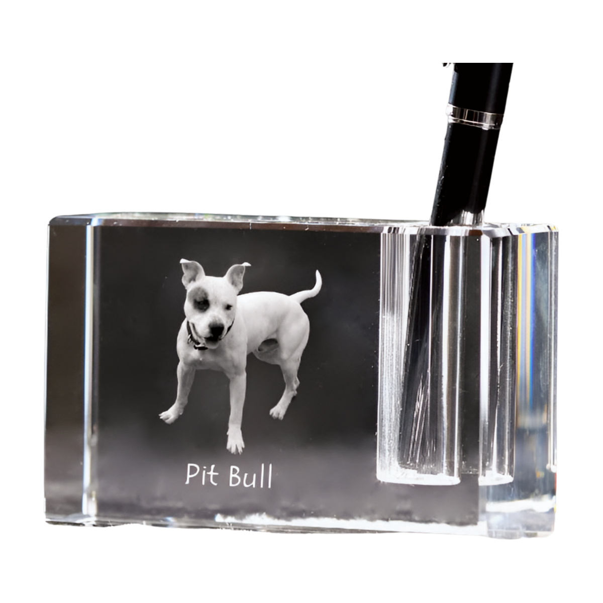 Pit Bull, American Pit Bull Terrier, Pitbull Terrier, APBT Pen stand,  crystal