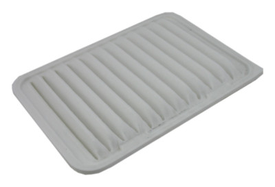 Air Filter Pentius PAB10190