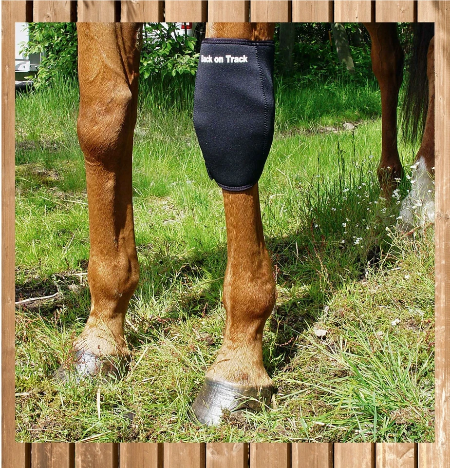 Back on Track Karpalgelenkschoner für Pferde, Knee Boot, Gelenkschoner, Stück - Bild 3 von 3