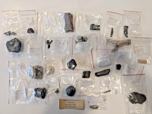 23pc Bone Valley Florida Fossil Lot w/ Locality Labels Polk Co Phosphate Pits