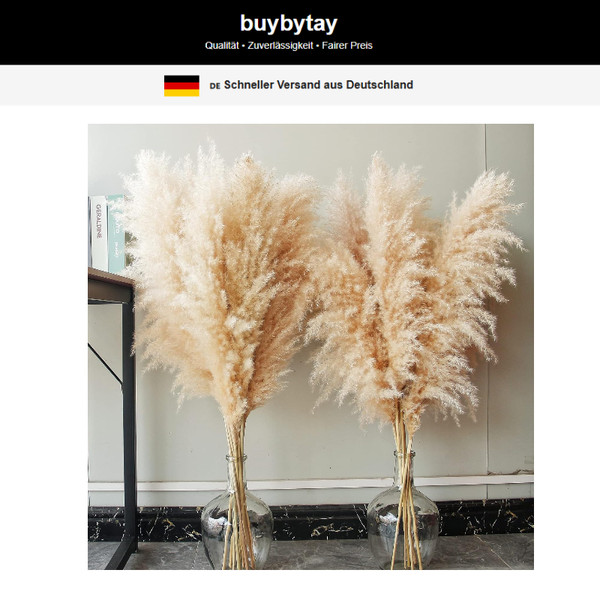 Pampasgras Xxl 10 StüCk Deko FüR Boho Wohnzimmer Tisch Hochzeit-image