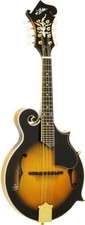 Buy it now  New  ARIA AM-40 F-type flat mandolin/with hard case