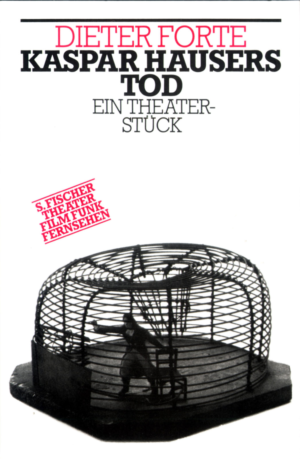 Thumbnail - Dieter Forte / Kaspar Hausers Tod