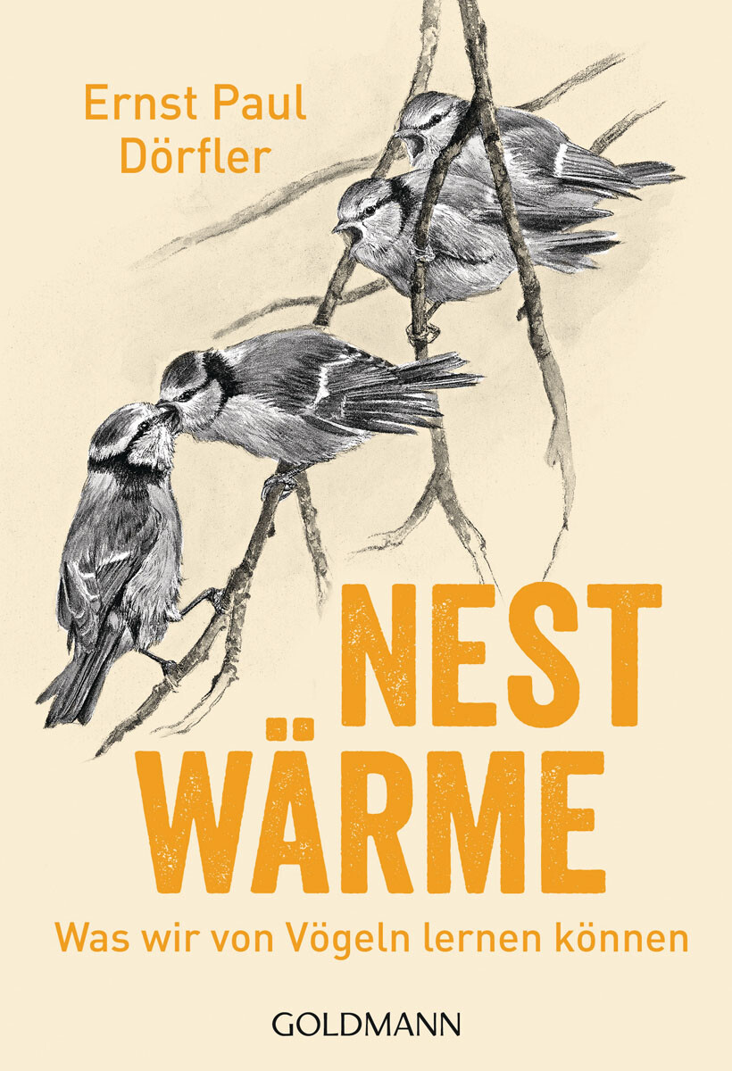 Thumbnail - Nestwärme. Was Wir Von Vögeln Lernen Können. Ernst Paul Dörfler