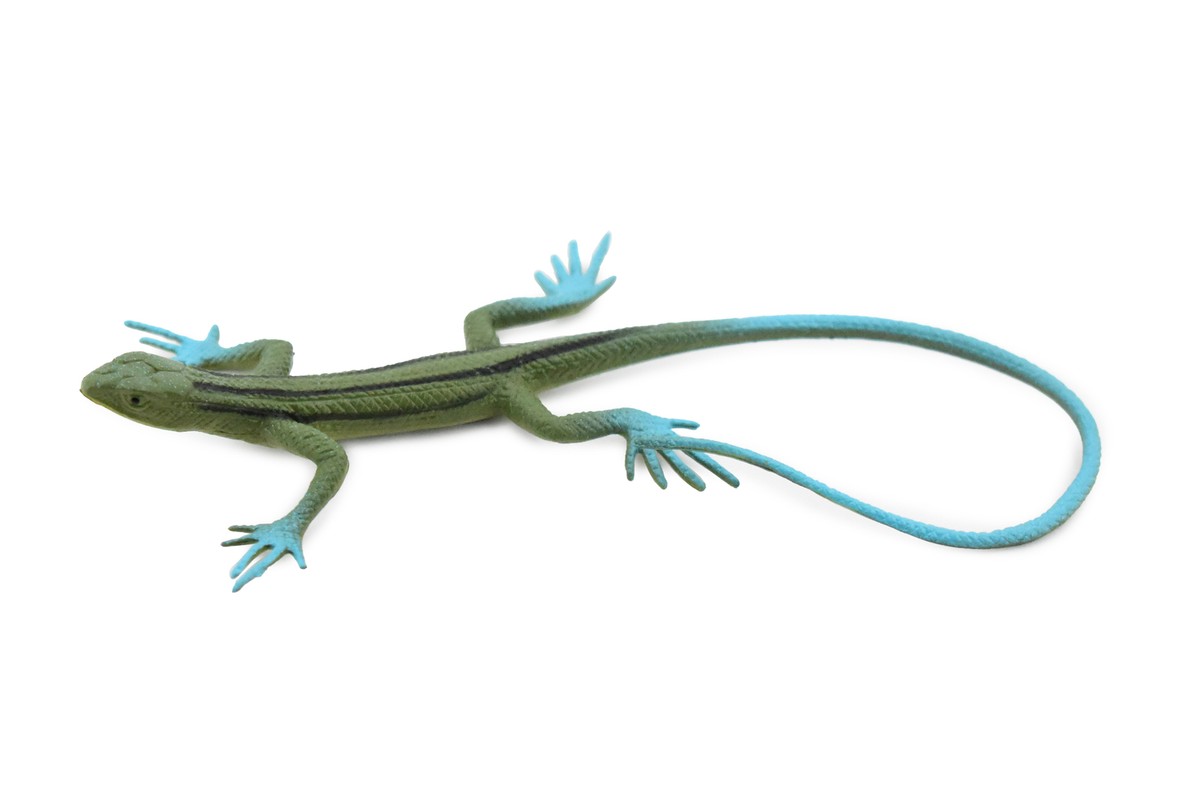LIZARD プラスチックモデル Lizard, Desert-Grassland Whiptail, Toy, Realistic Figure, Model, 5