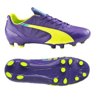 puma evospeed 3.3