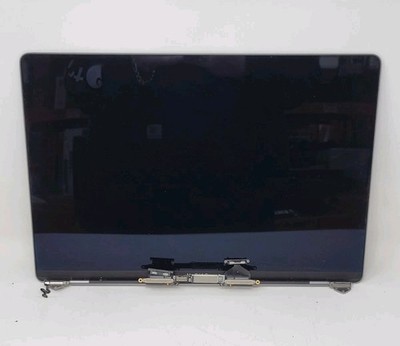 OEM Apple MacBook Pro 16'' A2141 LCD Screen Assembly 2019/2020 Space Gray Good