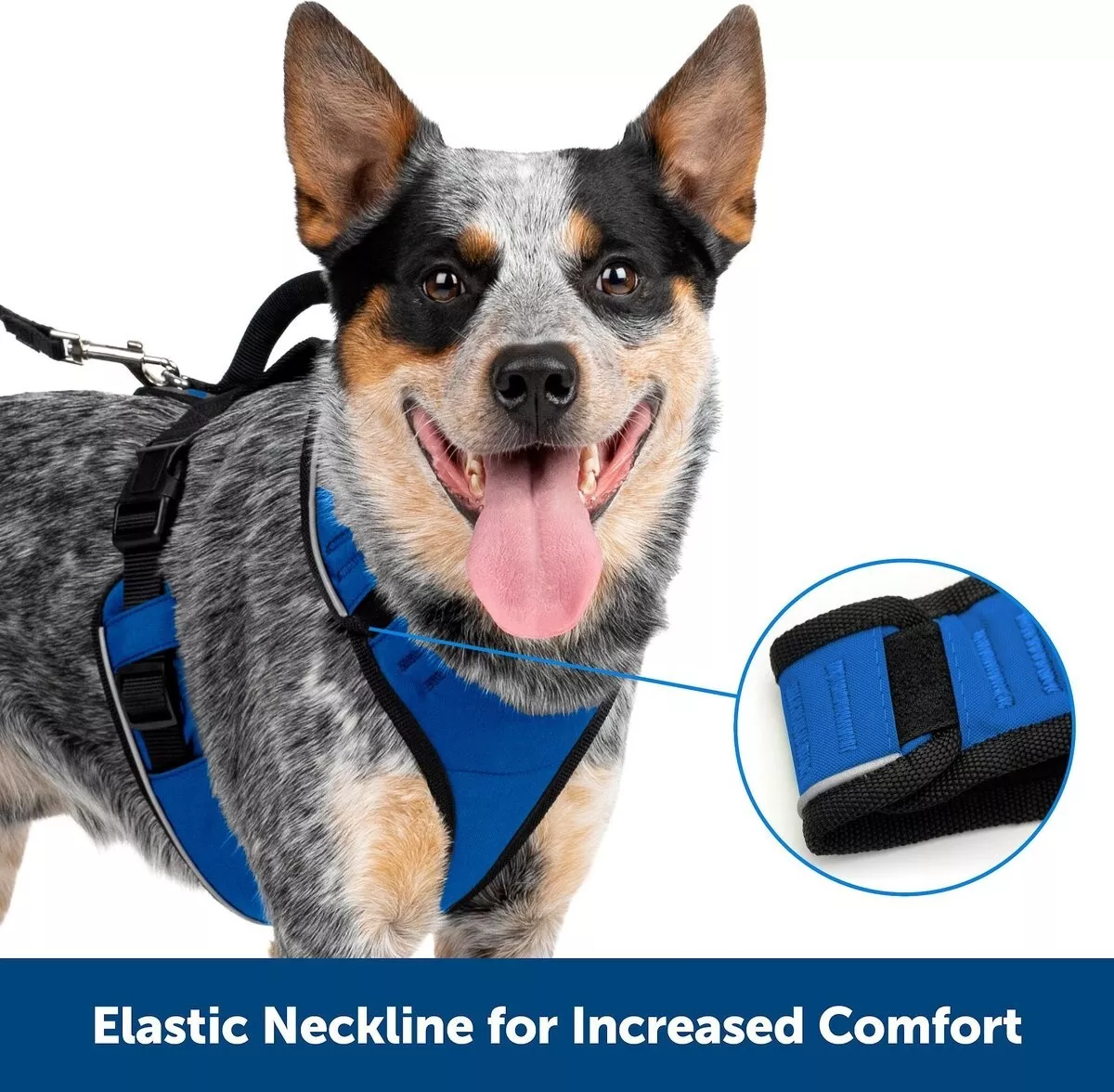 Petsafe deals dog harness